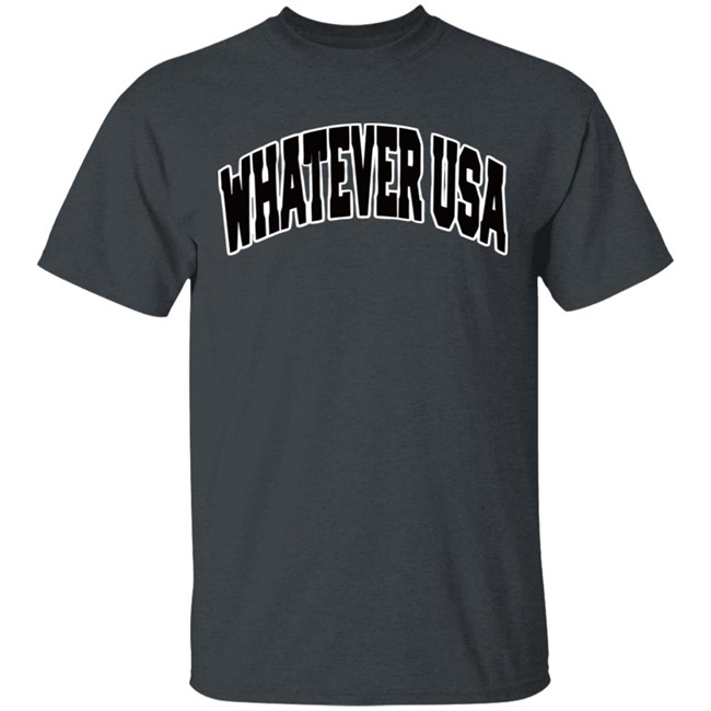 WHATEVER USA Hoodie Allen Shirt Gray Hooded Sweatshirt WHATEVER USA Hoodie Allen Shirt Gray Hooded Sweatshirt