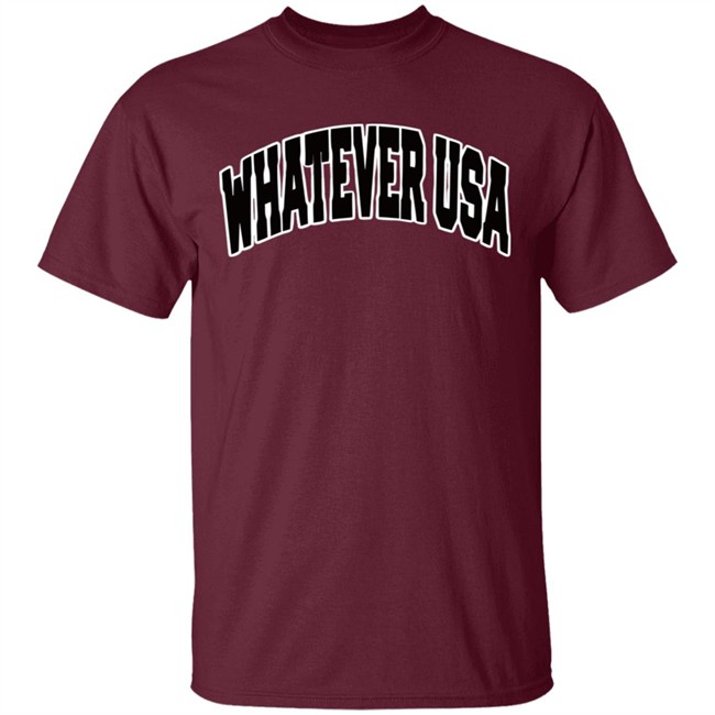 WHATEVER USA Hoodie Allen Shirt Gray Hooded Sweatshirt WHATEVER USA Hoodie Allen Shirt Gray Hooded Sweatshirt
