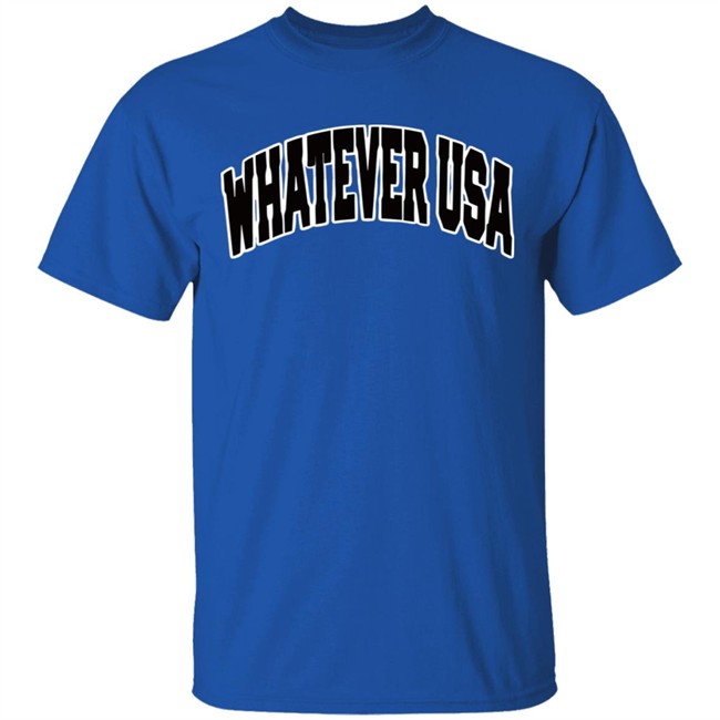 WHATEVER USA Hoodie Allen Shirt Gray Hooded Sweatshirt WHATEVER USA Hoodie Allen Shirt Gray Hooded Sweatshirt