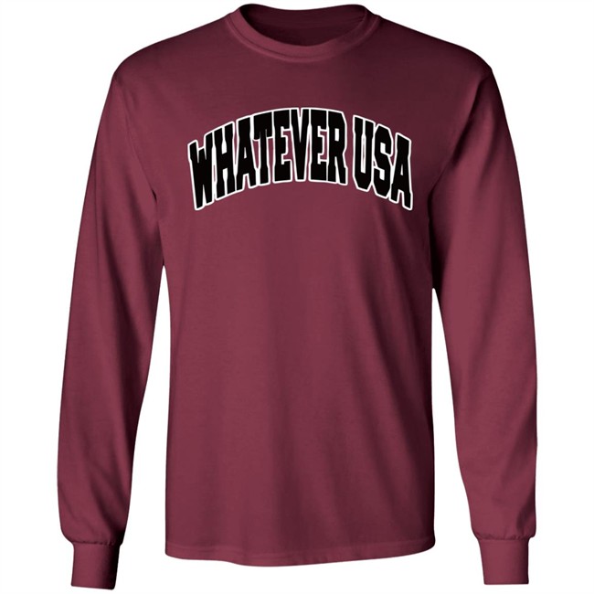 WHATEVER USA Hoodie Allen Shirt Gray Hooded Sweatshirt WHATEVER USA Hoodie Allen Shirt Gray Hooded Sweatshirt
