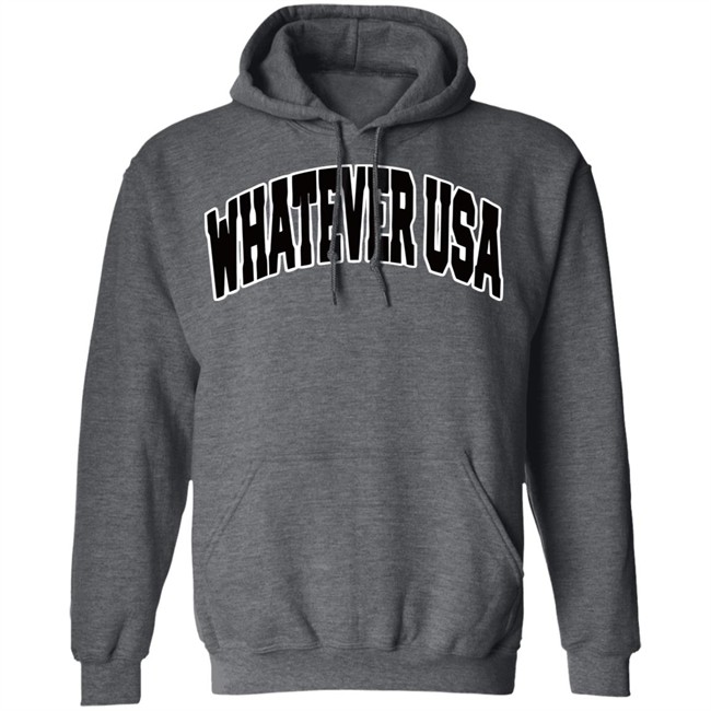 WHATEVER USA Hoodie Allen Shirt Gray Hooded Sweatshirt WHATEVER USA Hoodie Allen Shirt Gray Hooded Sweatshirt