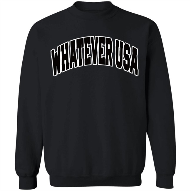 WHATEVER USA Hoodie Allen Shirt Gray Hooded Sweatshirt WHATEVER USA Hoodie Allen Shirt Gray Hooded Sweatshirt