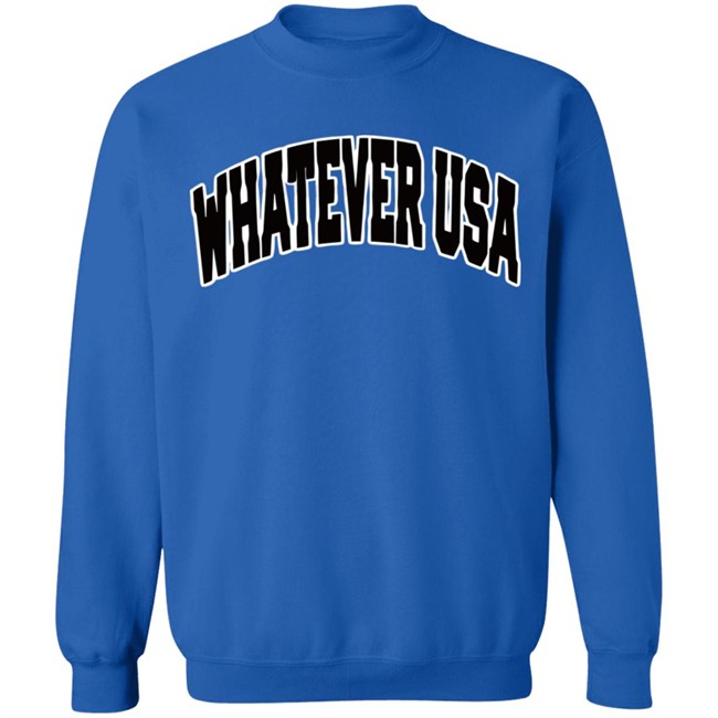 WHATEVER USA Hoodie Allen Shirt Gray Hooded Sweatshirt WHATEVER USA Hoodie Allen Shirt Gray Hooded Sweatshirt